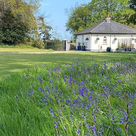 Rathjarney Gatelodge Wexford Exterior foto
