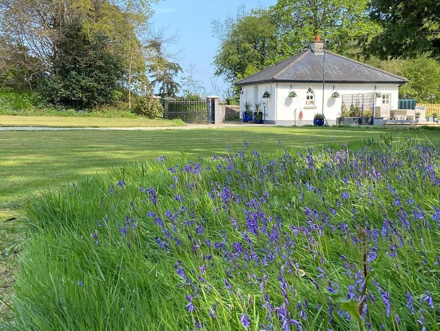 Rathjarney Gatelodge Wexford Exterior foto